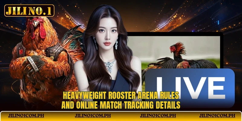 Heavyweight Rooster Arena rules and online match tracking details